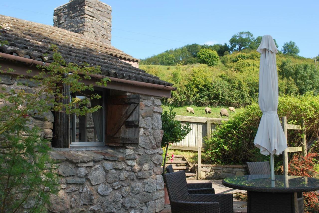 Fenny Castle Vineyard Cottage Wookey Eksteriør billede