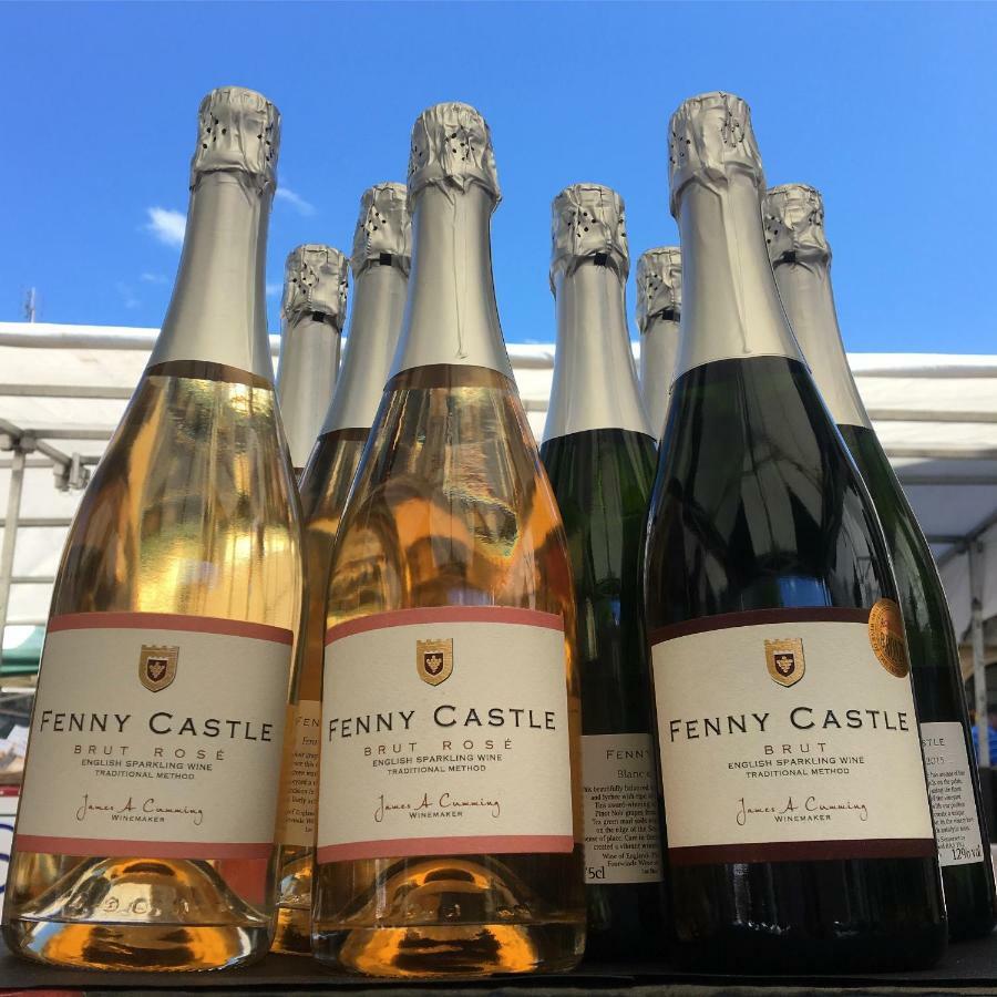 Fenny Castle Vineyard Cottage Wookey Eksteriør billede