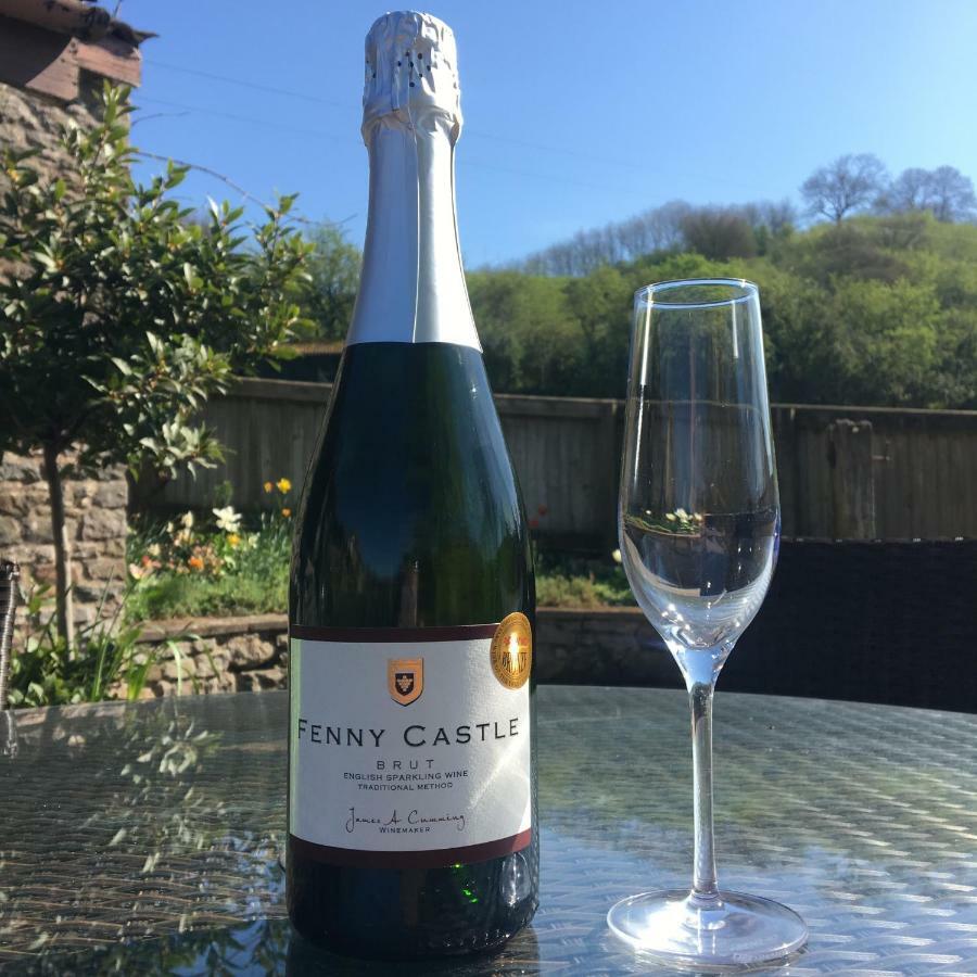 Fenny Castle Vineyard Cottage Wookey Eksteriør billede