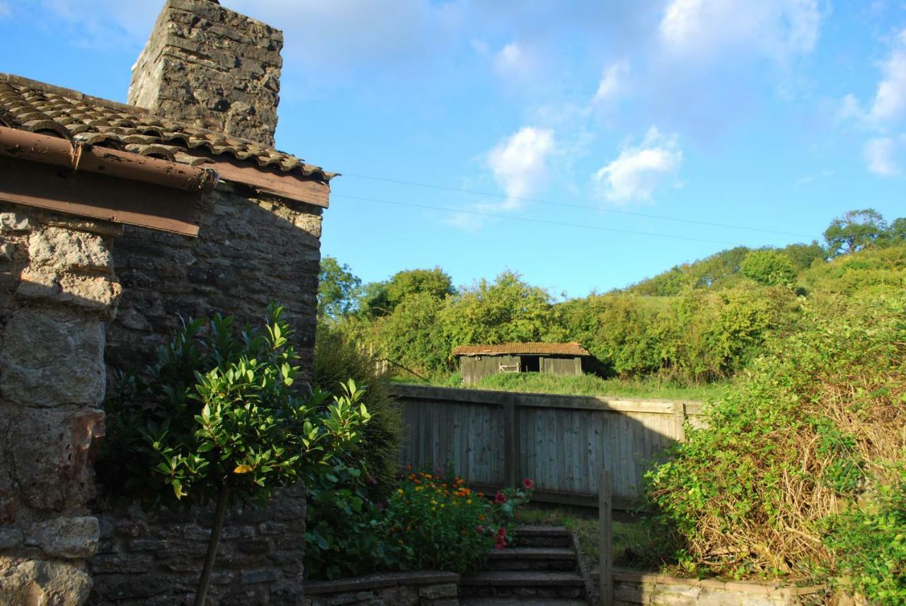 Fenny Castle Vineyard Cottage Wookey Eksteriør billede