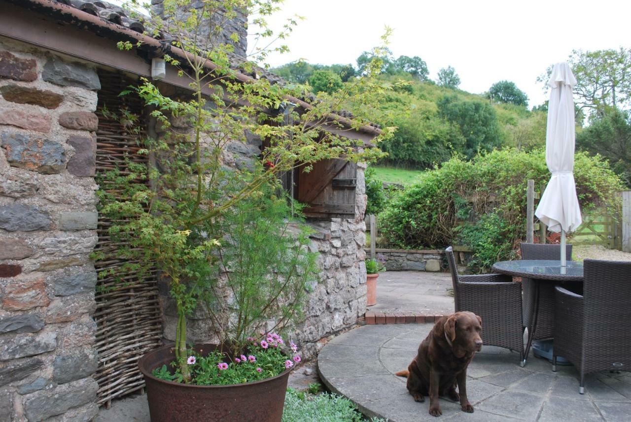 Fenny Castle Vineyard Cottage Wookey Eksteriør billede